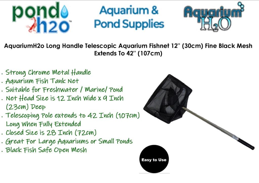 Tropical Aquarium Fish Tank - View Specifications & Details Of Fish