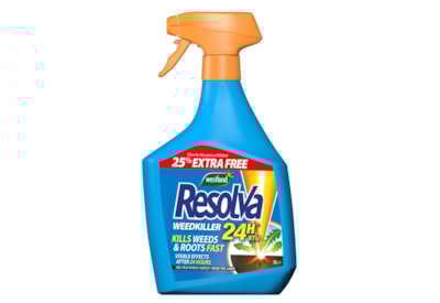 Toprose Fungus Control And Protect | Lucan Garden Centre