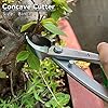 Vouiu 5-Piece Bonsai Tool Set,Bonsai Scissors,Concave