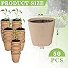 Biodegradable Large Seedling Plug For 2" Net Pot - Green Life Homestead