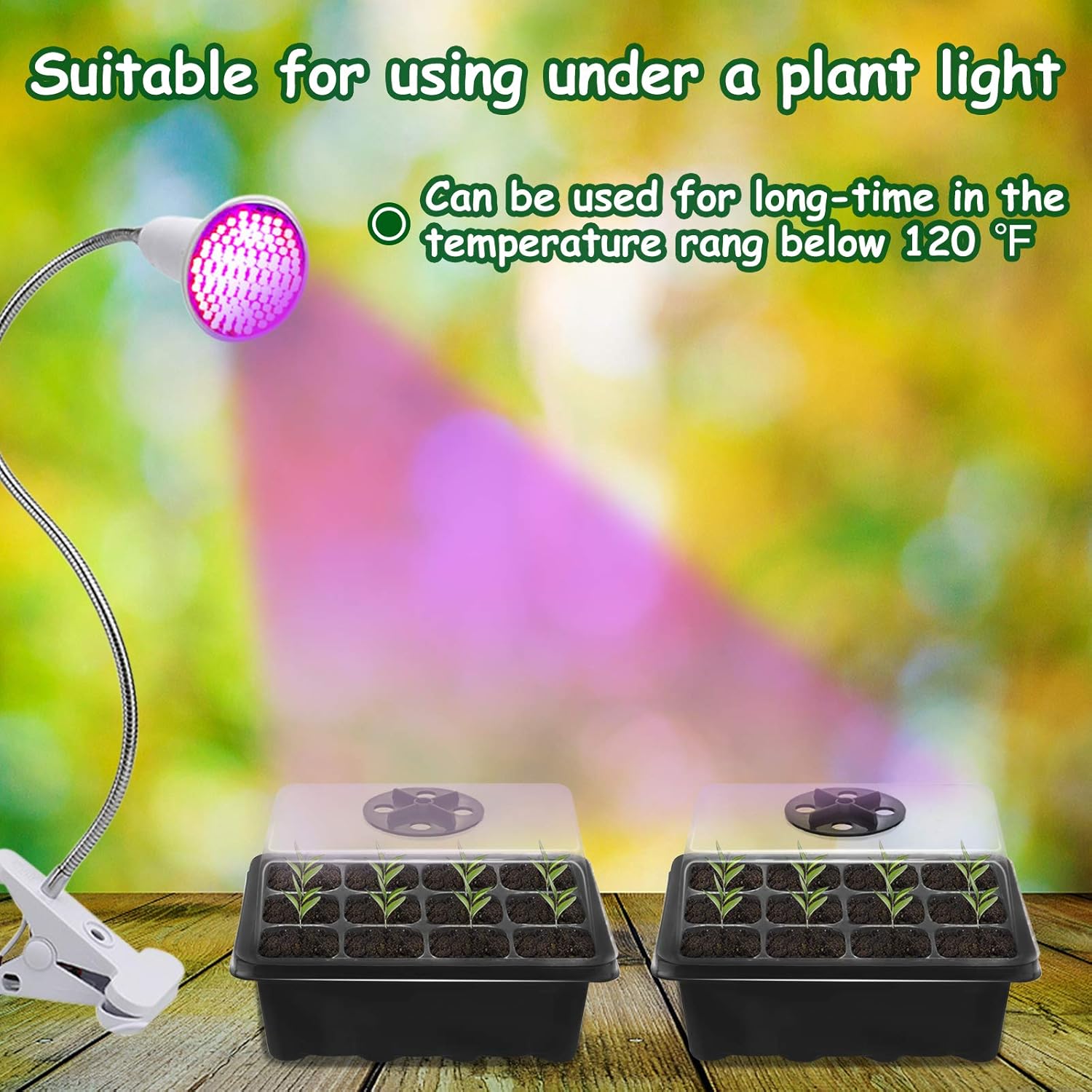 KINGLAKE 20 Pack 240 Cells Seed Trays Seedling Pots Biodegradable Plan &ndash