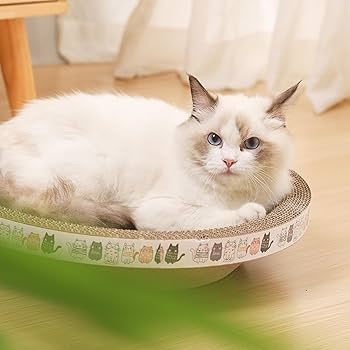 Oval Cat Scratcher Cardboard Bowl Nest | Cat Scratching Board