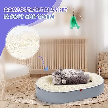 Oval Cat Scratcher Cardboard Bowl Nest | Cat Scratching Board