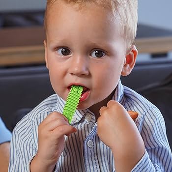 Sensory Chew Necklace For Kids And Adults, Shark Turkey