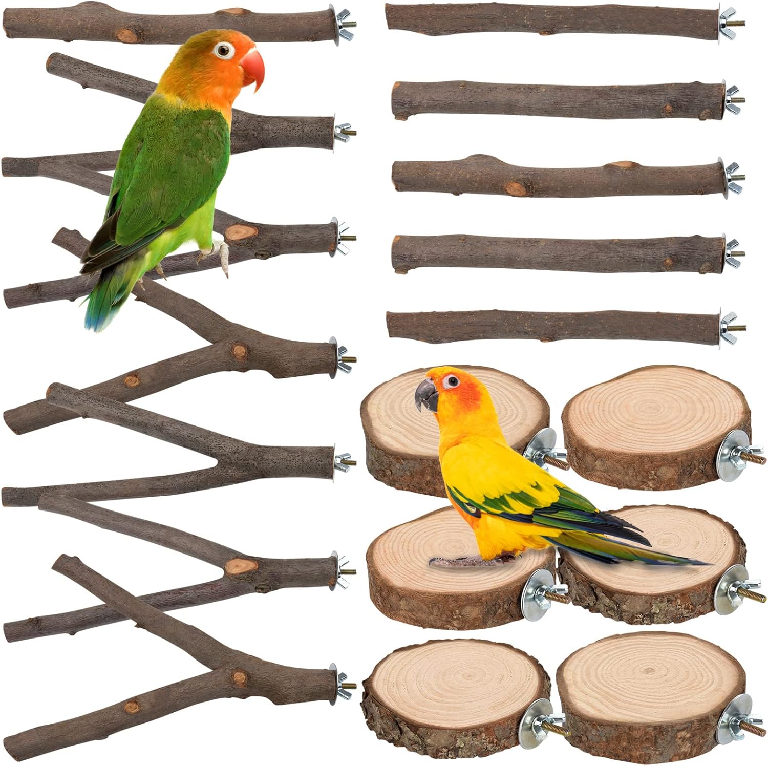 Round Wooden Springboard Parrot Perches Stand Toy