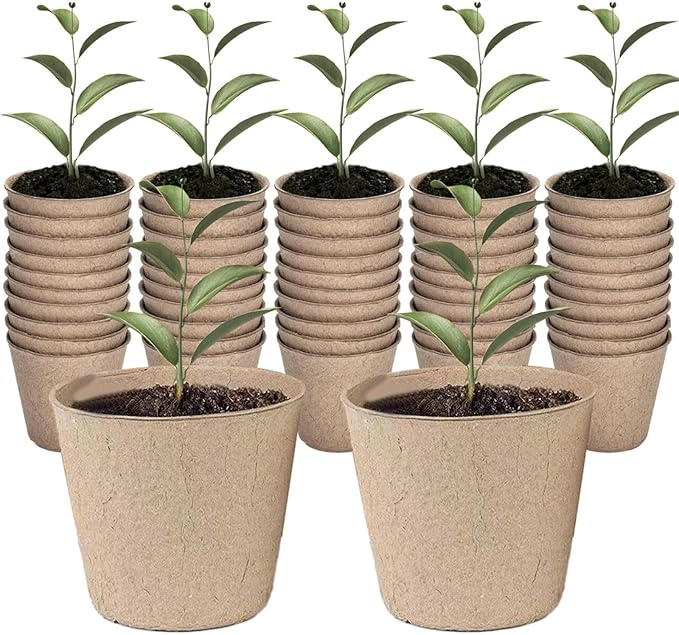 Biodegradable Large Seedling Plug For 2" Net Pot - Green Life Homestead