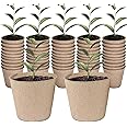 Biodegradable Large Seedling Plug For 2" Net Pot - Green Life Homestead