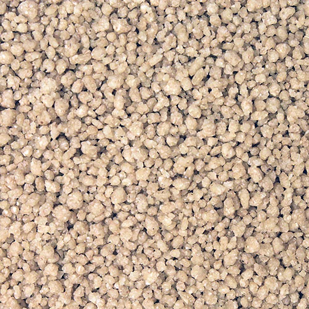 Forest Whole Foods - Organic Trail Mix (1kg) Caramel 1kg | Buy Now With