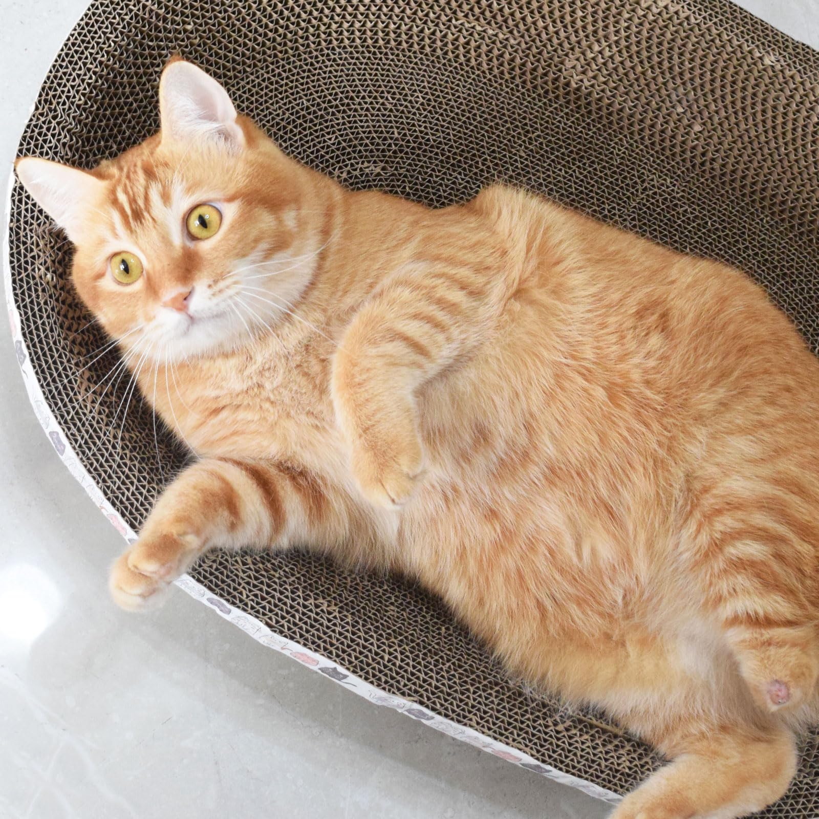 Oval Cat Scratcher Cardboard Bowl Nest | Cat Scratching Board