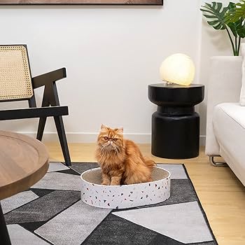 Oval Cat Scratcher Cardboard Bowl Nest | Cat Scratching Board