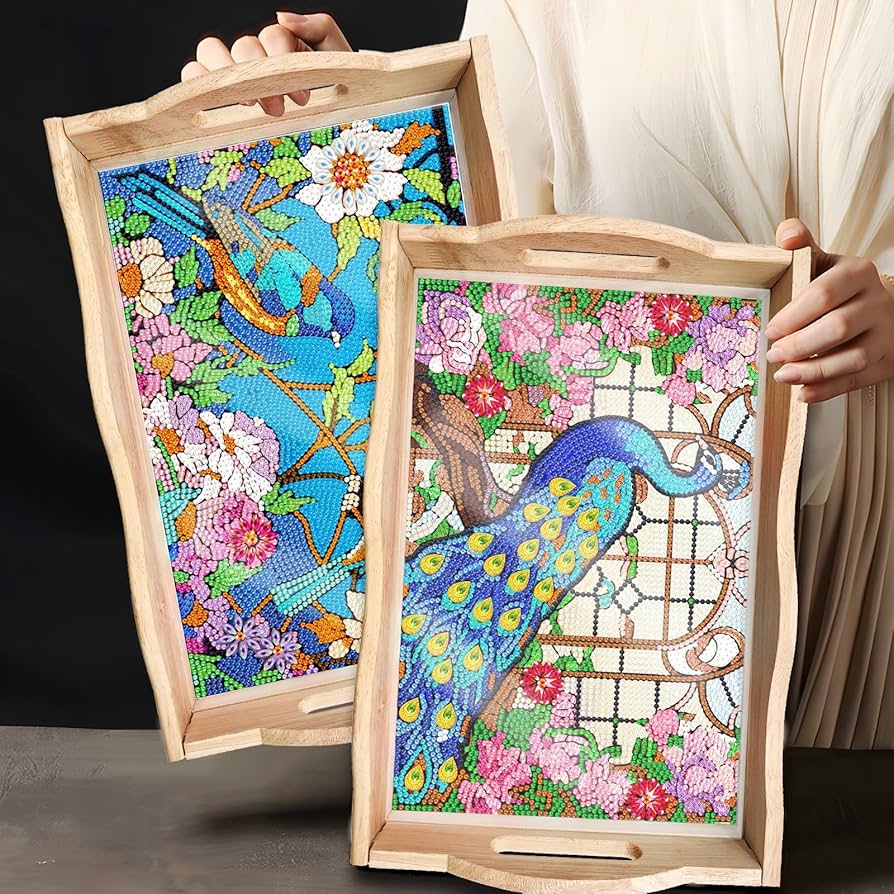 Diamond Art Tools 2PCS Diamond Painting Trays Organizer Durable Useful For Diamond Art Diamond Painting Kits For Adults