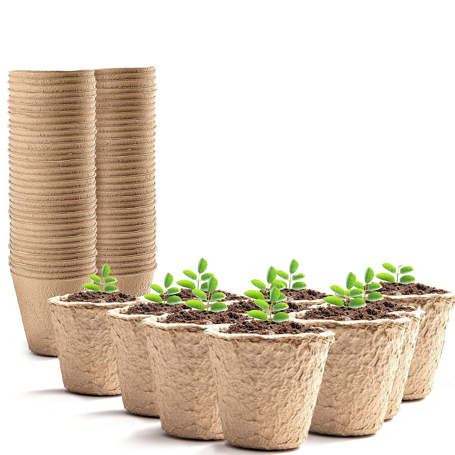 Biodegradable Large Seedling Plug For 2" Net Pot - Green Life Homestead