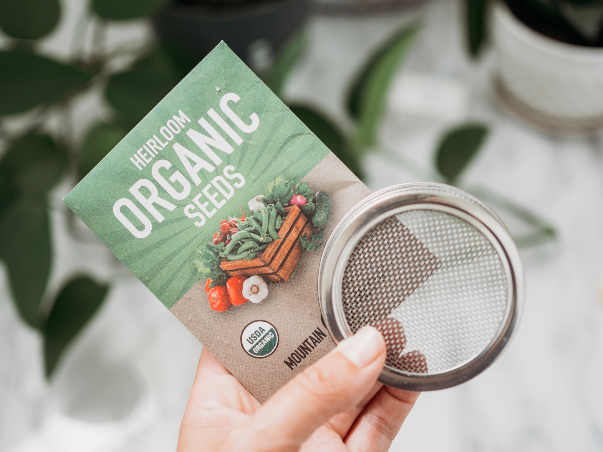 2PCS Stainless Steel Sprouting Lids U2013 Regular Mouth Mason Jars Lids For Germination