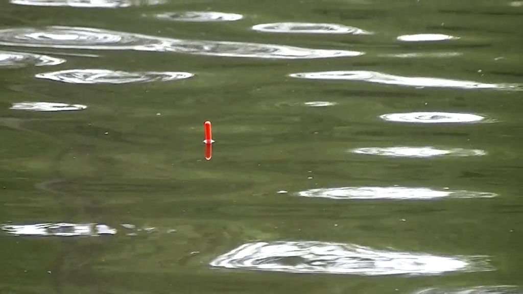 TFS Angling 60,120,180 Rubber Bead Float Or Leger Nigeria | Ubuy